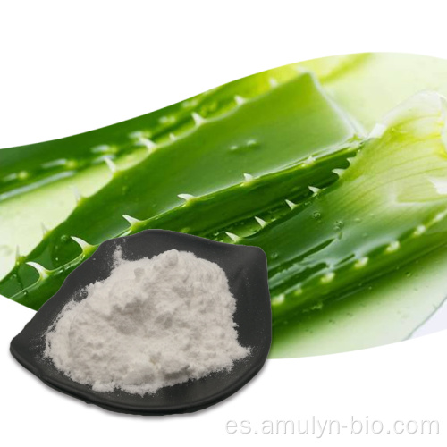 Aloe vera gel congelado extracto seco polvo